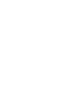 MFI logo